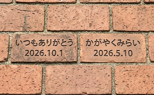 ※イメージ画像